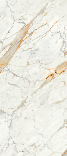 Porcelain Tile RICM